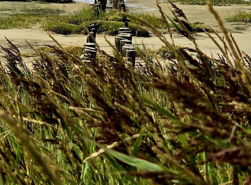 groepsreis Denemarken