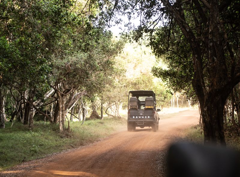 Sri Lanka groepsreis - safari Wilpattu