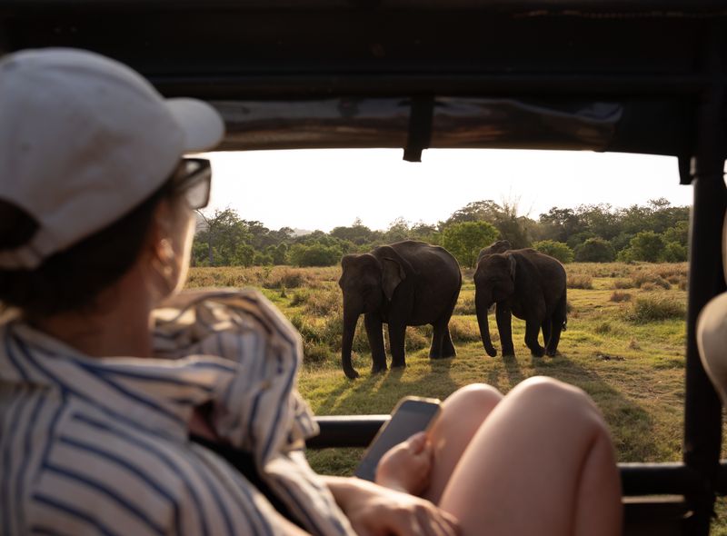 Sri Lanka groepsreis - olifantensafari