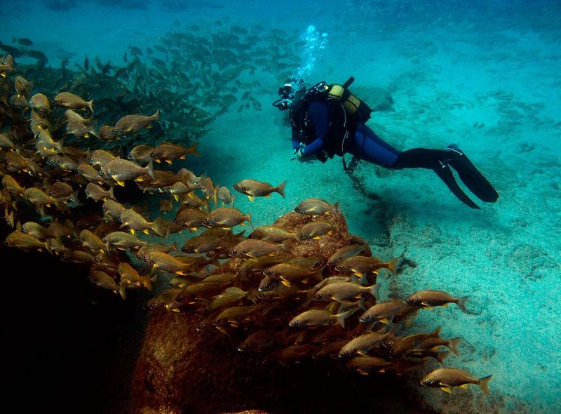 Spanje: Lanzarote Surf &amp; Dive