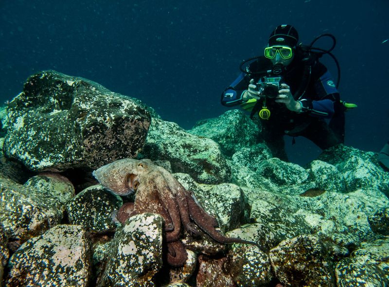 Spanje: Lanzarote Surf &amp; Dive