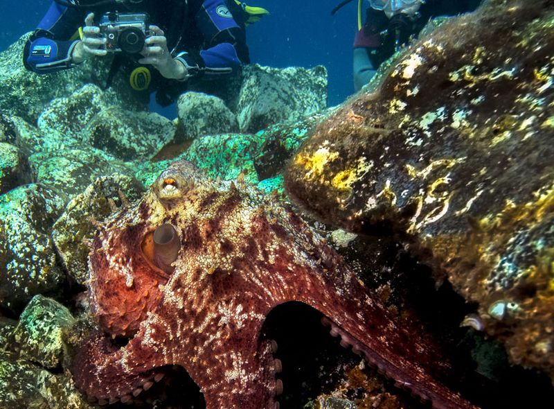 Spanje: Lanzarote Surf &amp; Dive