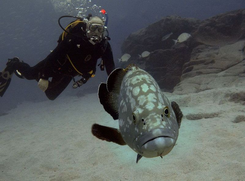 Spanje: Lanzarote Surf &amp; Dive