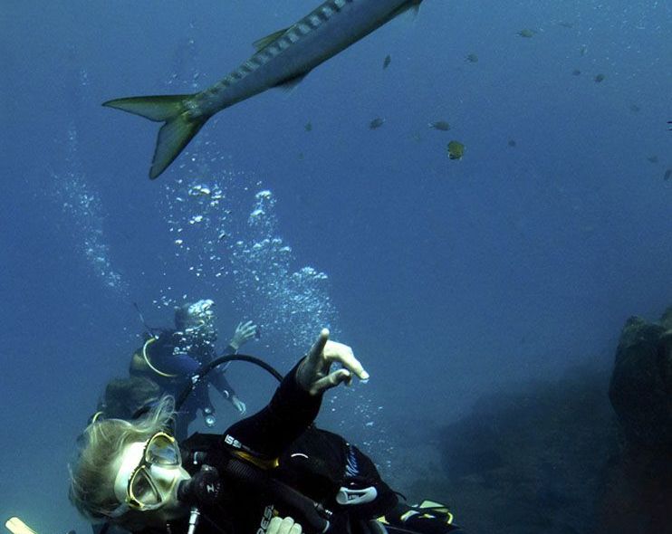 Spanje: Lanzarote Surf & Dive