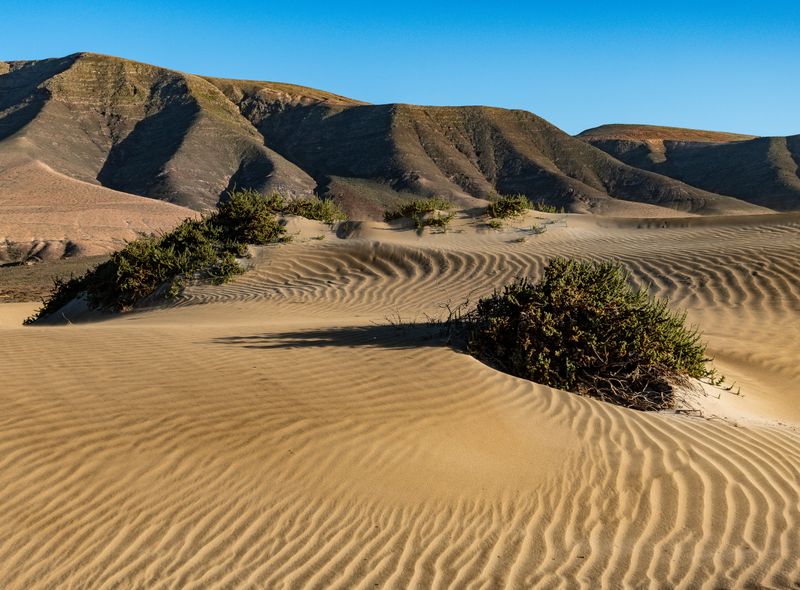 Spanje: Lanzarote Surf &amp; Dive