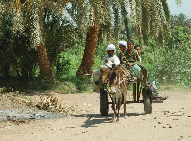 Groepsreis Egypte lokale ontmoeting