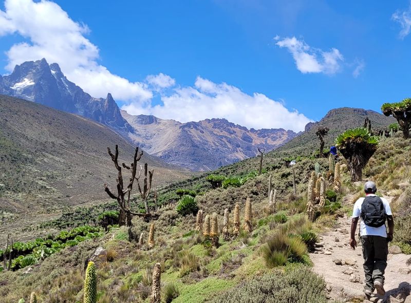 Groepsreis Kenia Mt Kenya dagwandeling Nanyuki