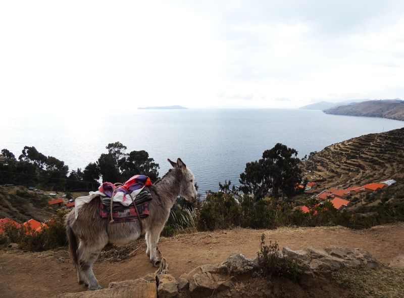 Groepsreis Bolivia en Peru