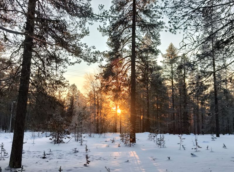 Groepsreis Finland