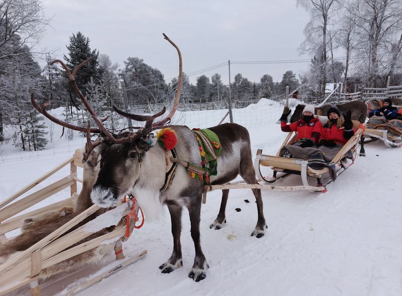 Groepsreis Winter Lapland