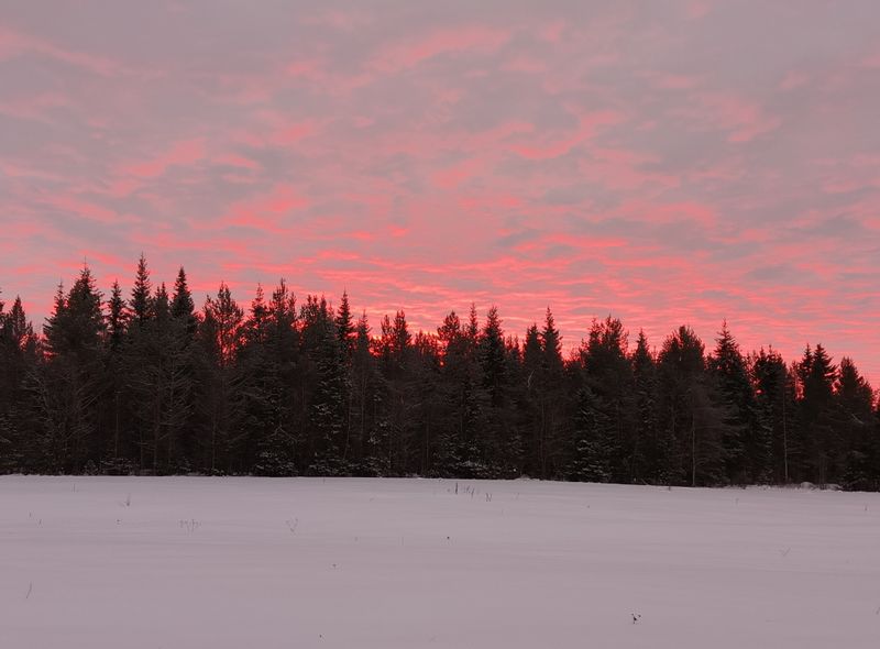 Groepsreis Fins Lapland
