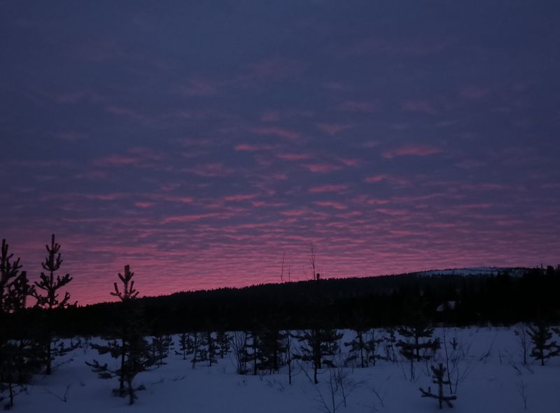 Groepsreis Winter Lapland
