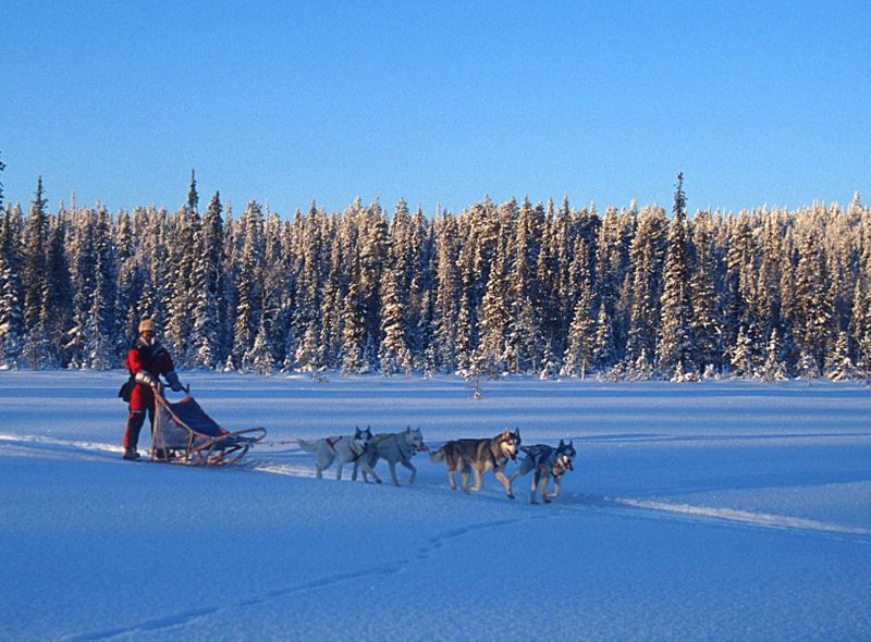 Groepsreis Finland