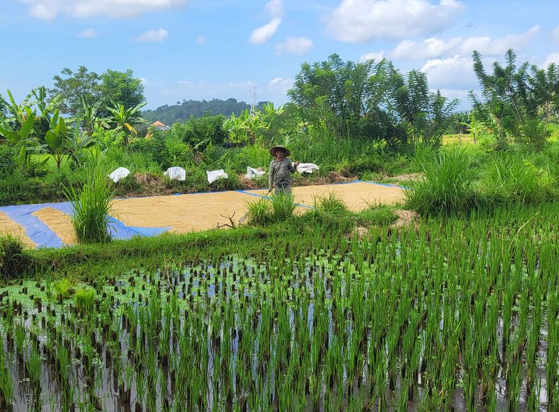 Farming