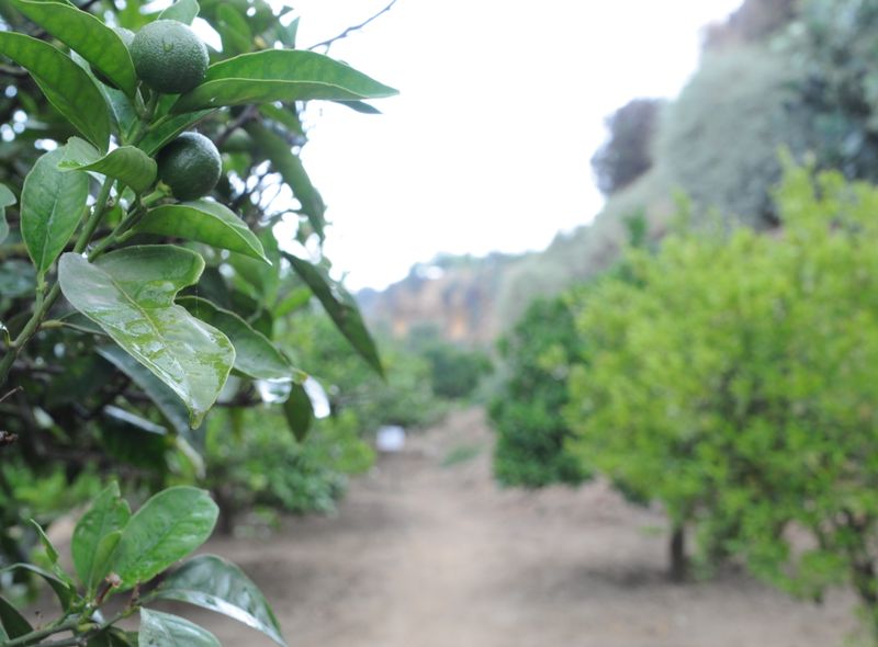 Groepsreis Sicilië Comfort