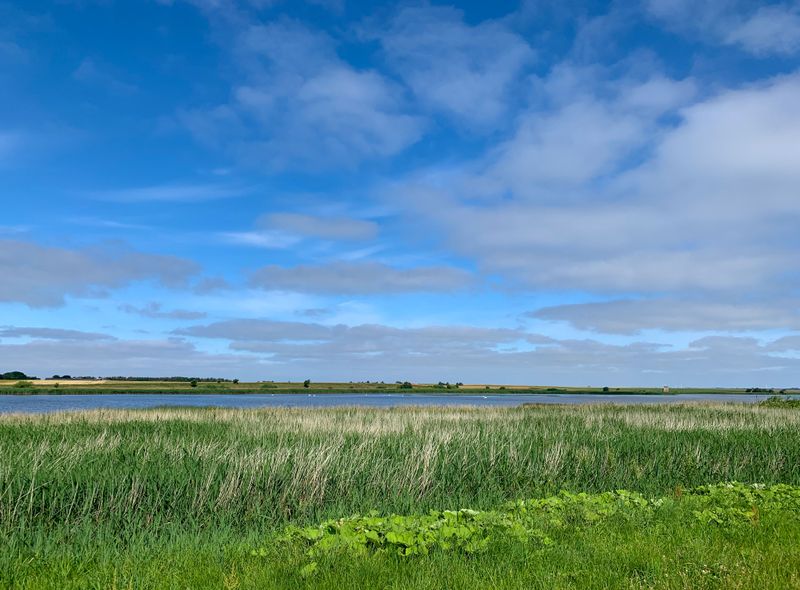 Groepsreis Denemarken Jutland, Comfort