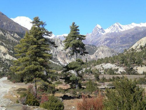 Groepsreis Nepal