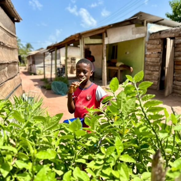 Groepsreis Ghana