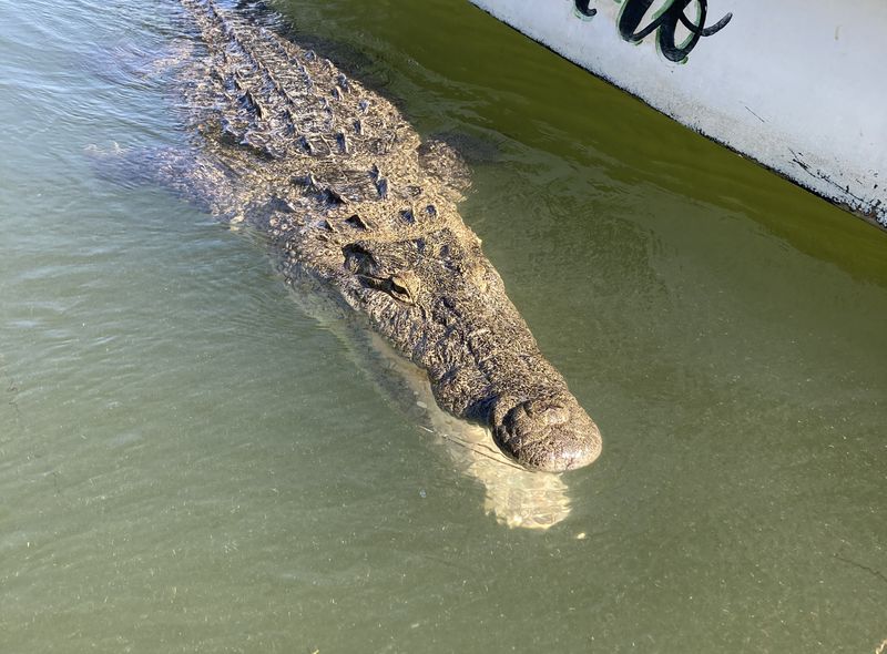 Groepsreis Guatemala, Belize en Mexico