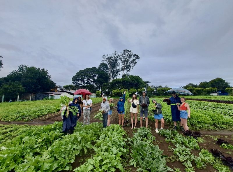 Groepsreis Guatemala, Belize en Mexico