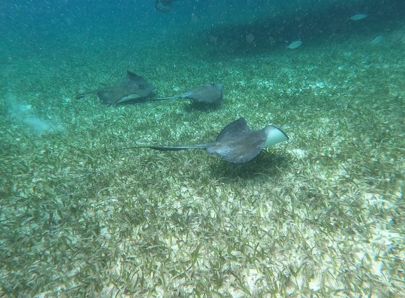 Groepsreis Guatemala, Belize en Mexico