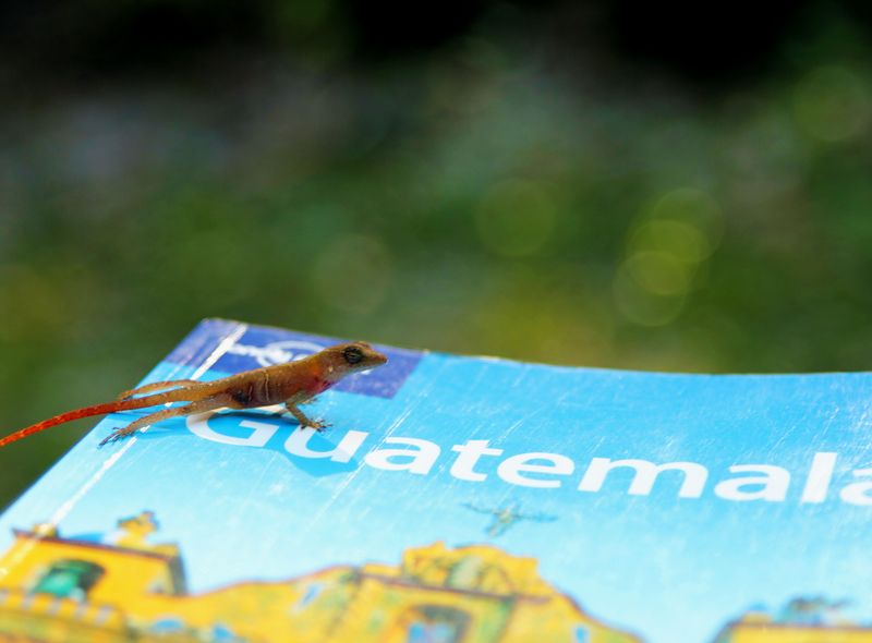 Groepsreis Guatemala &amp; Honduras