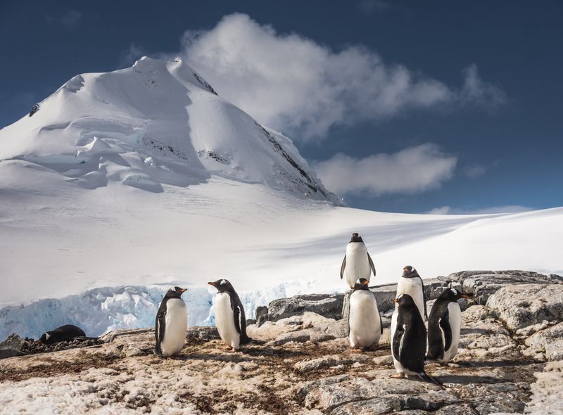 Groepsreis Antarctica