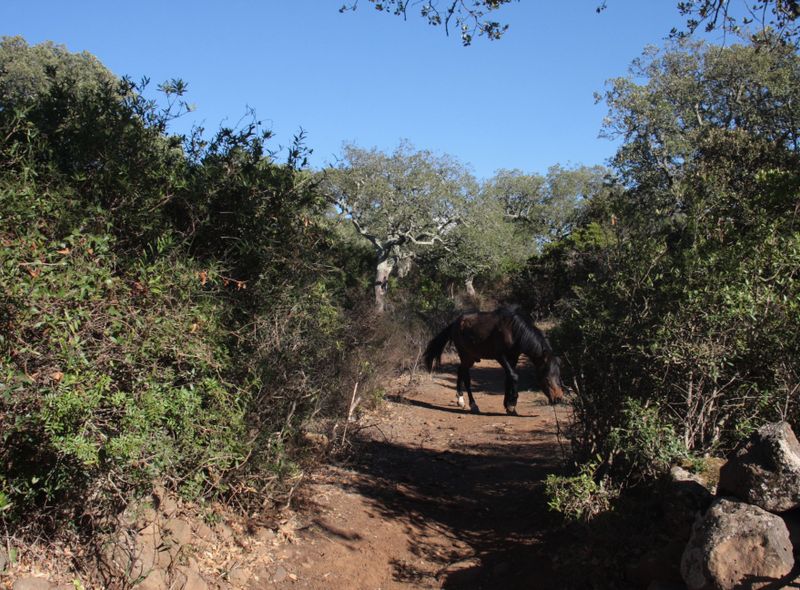 Groepsreis Sardinië