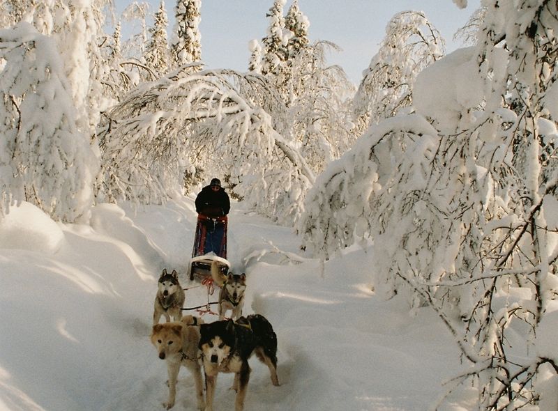 Groepsreis Finland