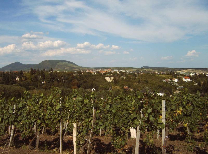 Groepsreis Hongarije