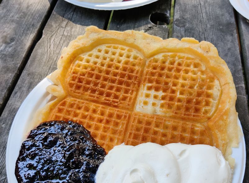 groepsreis Zweden