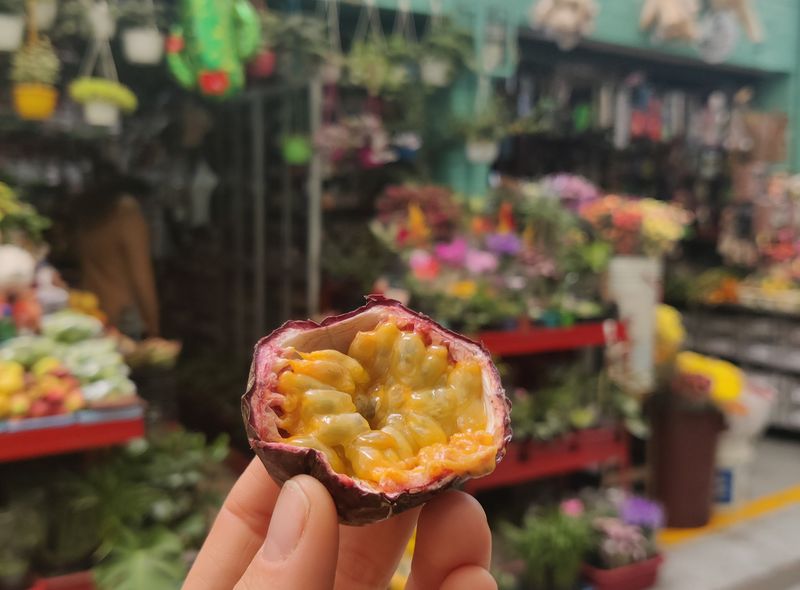 Groepsreis Colombia