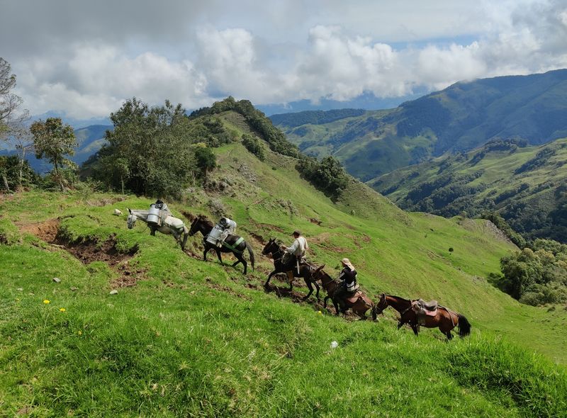 Groepsreis Colombia