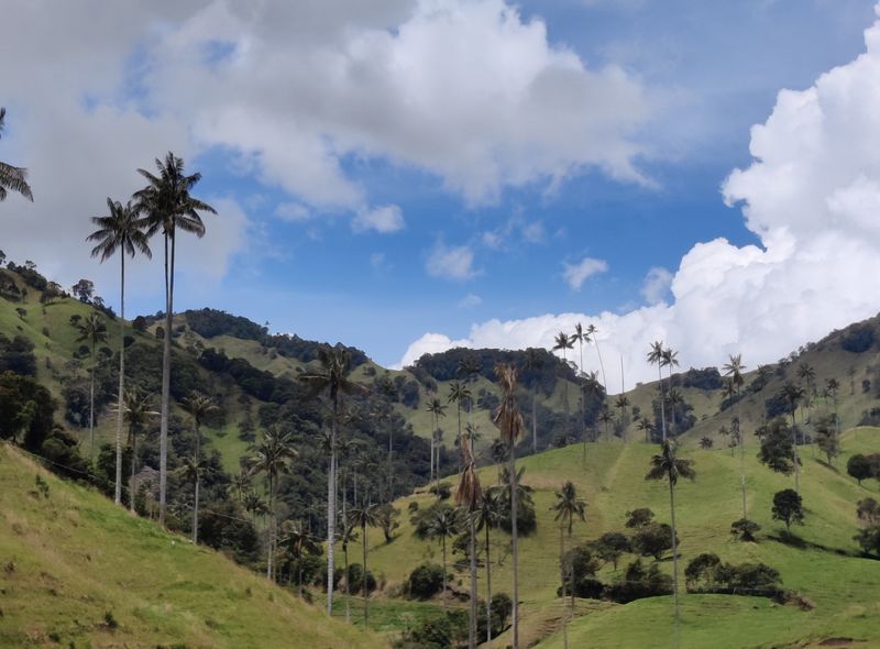 Groepsreis Colombia