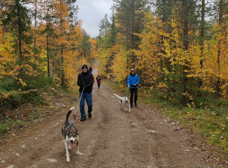Groepsreis Noorwegen