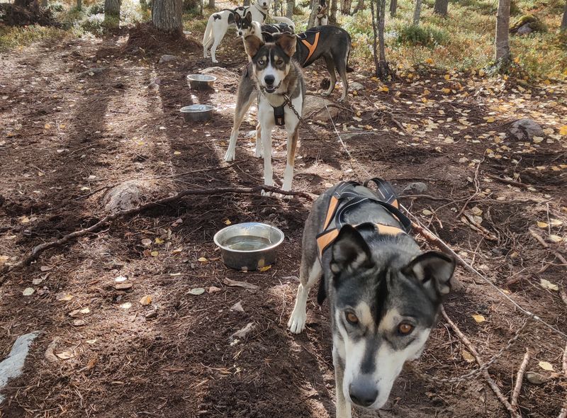 groepsreis Noorwegen, Zweden, Finland
