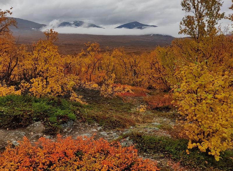groepsreis Noorwegen, Zweden, Finland
