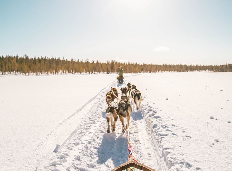 Groepsreis Finland