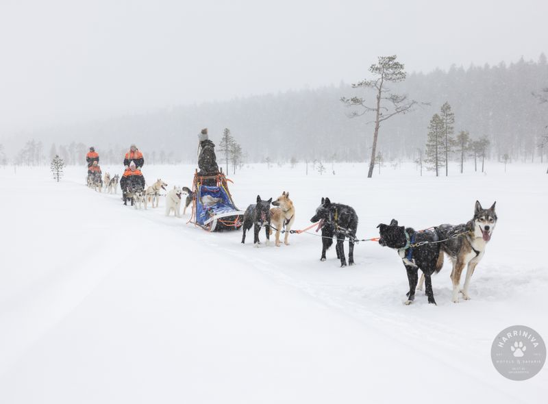 Groepsreis Finland