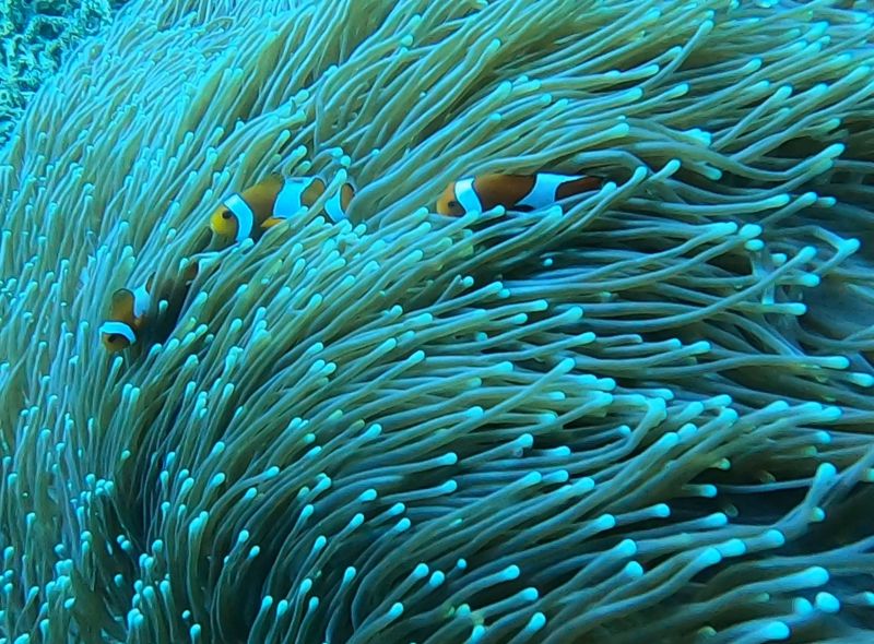 Indonesië - Java, Bali, Nusa Lembongan