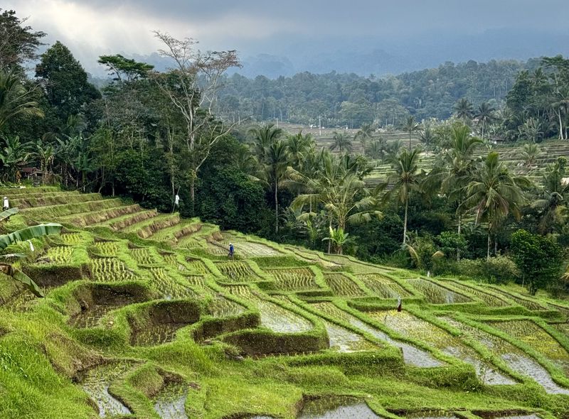 Indonesië - Java, Bali, Nusa Lembongan