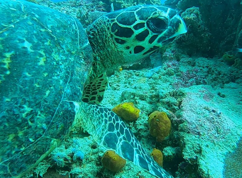 Indonesië - Java, Bali, Nusa Lembongan