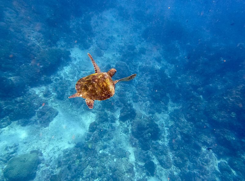 Groepsreis Indonesië