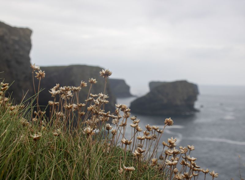 Groepsreis Ierland
