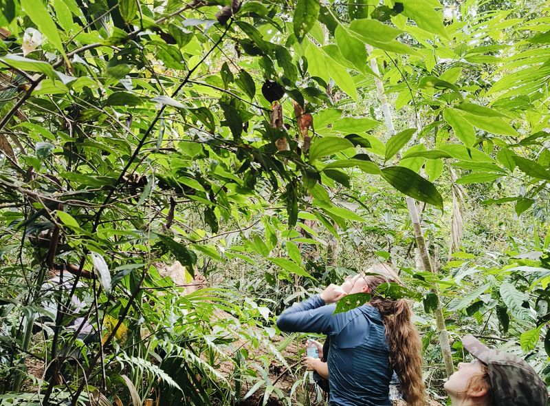 Groepsreis Thailand en Cambodja