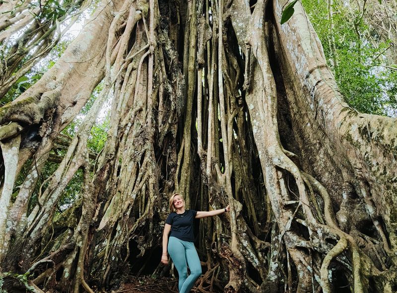 Groepsreis Thailand en Cambodja