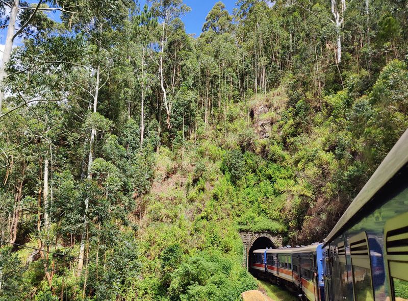Sri Lanka groepsreis - treinrit