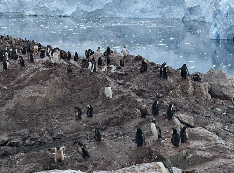 Groepsreis Antarctica
