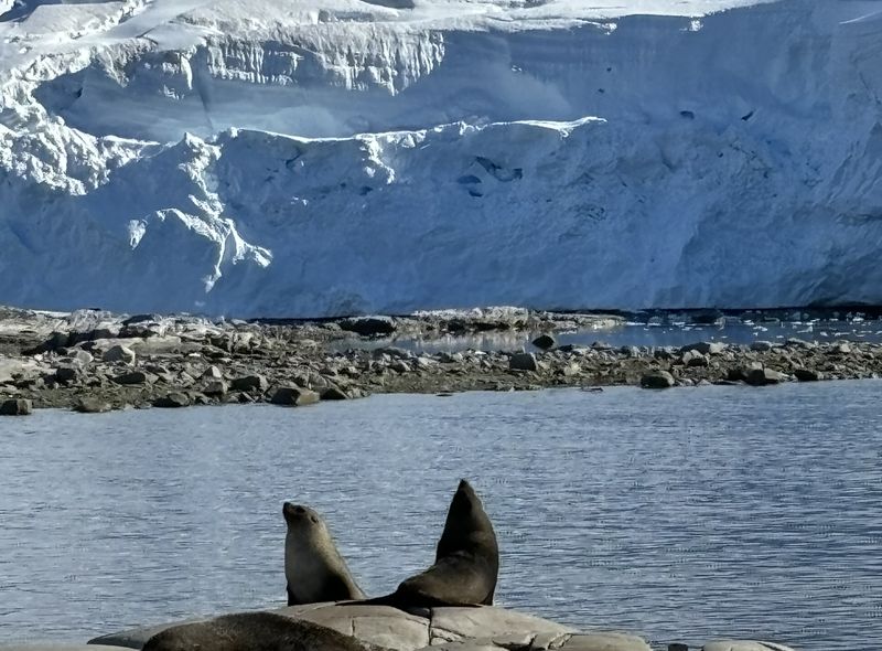 Groepsreis Antarctica