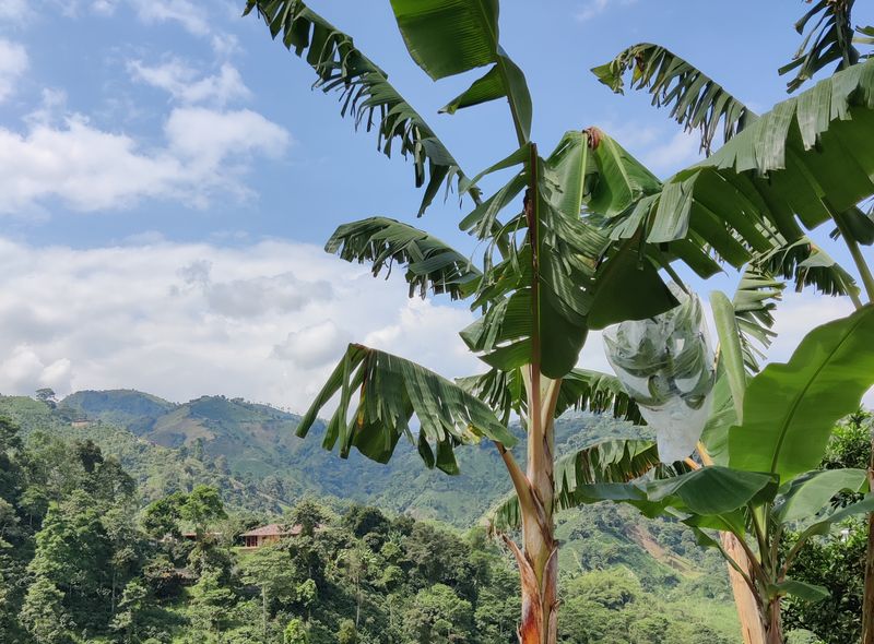 Groepsreis Colombia